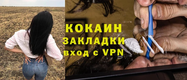 PSILOCYBIN Зерноград